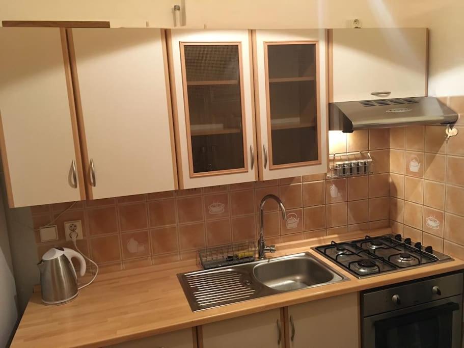 Utulne Ubytovani U Centra V Blizkosti Vystaviste Brünn Exterior foto